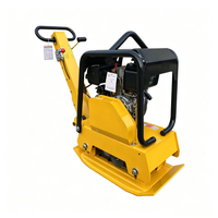 Compacteur à plaques vibrantes diesel/essence Heart Go, machine de compactage de sol et d'asphalte à couple élevé avec garantie d'un an