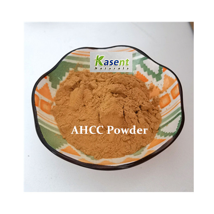 Оптом Ahcc порошок Ahcc грибы экстракт