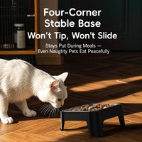 Gamelle surélevée portable en acier inoxydable et plastique pour chien – Support ergonomique pour la protection du cou, antidérapant et mignon