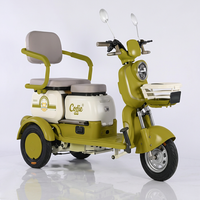 Tricycle à passagers 72V 800W 32AH, tricycle à passagers japonais, vélo électrique, vélo électrique de loisirs