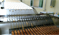 Machine à fabriquer des biscuits sans sucre - Ligne de production de biscuits et de craquelins à haute efficacité