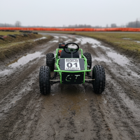 Nuevo Diseño, Motor de 4 Tiempos y 212cc, Llantas de 8 Pulgadas, Velocidad Máxima 70km/h, Go-Kart de Combustible en Oferta