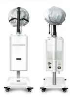 Machine à vapeur pour cheveux Ozone Micro Nano Mist, vaporisateur d'huile parfumée, steamer pour cheveux pour salon de coiffure professionnel