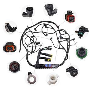 Câble de faisceau de câblage du moteur D13 pour excavatrice HongWang 22020183 2137269, faisceau d'injection extérieur, neuf, garantie 1 an, CN GUA - Product Image 1