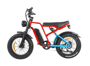 <span class=keywords><strong>Schwinn</strong></span> E-Bike para adultos jóvenes 20*4,0 pulgadas neumáticos marco Twist Shifter desviador trasero 48V Hub Motor 8-13ah batería - Product Image 2