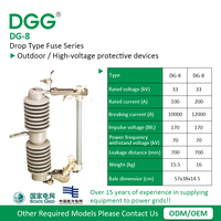 DGG Fusible d'expulsion personnalisé en porcelaine et caoutchouc de silicone, à découpe, pour exportation mondiale pour appel d'offres international