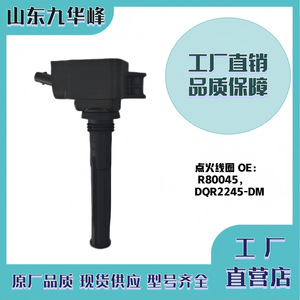 Weichai คอยล์จุดระเบิด DQR2245 R80045 DM สำหรับอะไหล่เครื่องยนต์ก๊าซธรรมชาติ LNG - Product Image 5