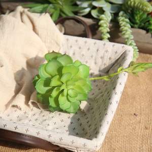 Suculenta Artificial de Interior <span class=keywords><strong>Echeveria</strong></span> Lenore Dean, Planta Natural 2024 - Product Image 2