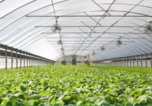 100-150 <span class=keywords><strong>Filet</strong></span> anti-insectes anti-thrips en maille-Spécialisé <span class=keywords><strong>pour</strong></span> les plantations de jardins potagers <span class=keywords><strong>Filet</strong></span> anti-insectes - Product Image 3