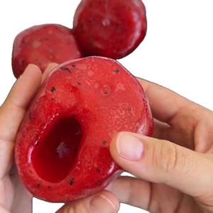 GL Balle Squishy Remplie de Vaseline, Pastèque Glacée, Jouets Sensoriels Moulables à Presser, Jouet Anti-Stress Squishy, Cadeaux de Fête - Product Image 5