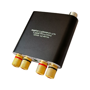 WUZHI 오디오 ZK-1002D HIFI 100W + 100W 스피커 오디오 앰프 보드 모듈 듀얼 채널 스테레오 음악 저전압 보호 - Product Image 2