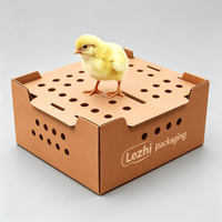 Boîte de transport pour poussins, carton de transport divisé pour oiseaux, boîte de transport pour bébés poussins, boîtes de transport