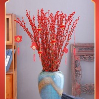Natürliche Trocken blume Silver Willow Spring Festival Konservierte Blumen pflanzen Wohnkultur Salix Argyracea