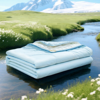 Couette d'été antibactérienne pour enfants, en fibres de soja et polyester, respirante et absorbante, lavable en machine