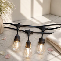 Ampoule LED S14 PC à filament Edison 2700K Lumière Chaude Culot E27 Étanche Économe en Énergie pour Décoration de Lieux et Festivals Noël