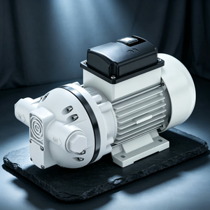 Pompa Oli Gear Listrik Tekanan Tinggi Industri <span class=keywords><strong>220</strong></span> Volt untuk Industri Bahan Bakar Bio dan Memindahkan Oli & Pelumas - Product Image 6