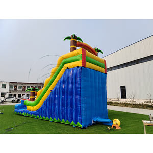 Toboggan aquatique gonflable de 30 pieds avec château gonflable combiné, toboggan tropical, toboggan aquatique irisé avec piscine - Product Image 6