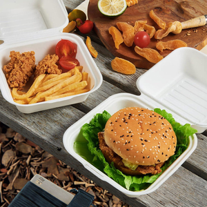 Assiettes jetables en bagasse compostables, écologiques, compatibles lave-vaisselle, légères, pour le camping, les restaurants et les fêtes - Product Image 4