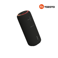 Haut-parleur Bluetooth portable stéréo 30W TWS avec double batterie 2500mAh étanche IPX7