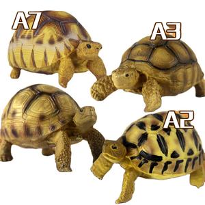 Modèle de <span class=keywords><strong>tortue</strong></span> terrestre <span class=keywords><strong>en</strong></span> résine de haute qualité, super réaliste, modèle de <span class=keywords><strong>tortue</strong></span> Nomoypet - Product Image 1