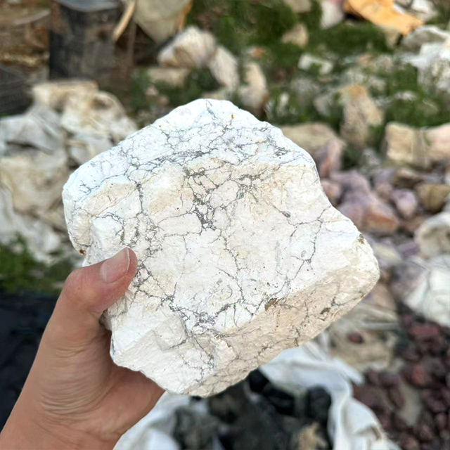 Natural Crystal Stone Wholesale Rock Rough White Turquoise Howlite Raw Crystal Stone Healing Stone Decoration