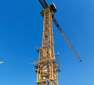 Grues à tour d'occasion de grandes marques chinoises en promotion à bas prix avec composants essentiels : moteur, boîte de vitesses et pompe - Product Image 6