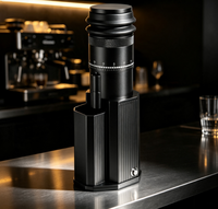 Moulin à café électrique portable en acier inoxydable, réglage de mouture ajustable, meule conique, capacité de 25 g, mini machine à expresso
