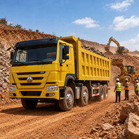 Camion benne lourd SINOTRUK HOWO 371ch 8x4 Euro 2 Diesel Weichai d'occasion, 40 tonnes, pour transport minier, avec cuve de chargement de 6,2-8m, benne basculante à gauche