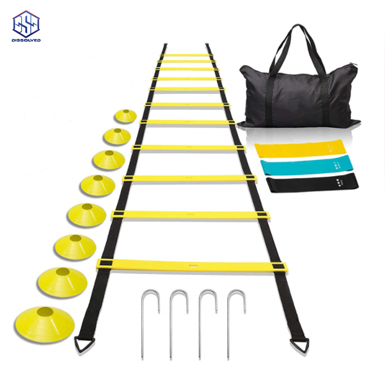 Координационная лестница Agility Ladders
