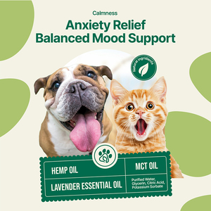 Suppléments nutritionnels OEMODM <span class=keywords><strong>pour</strong></span> animaux de compagnie avec de l'huile de chanvre <span class=keywords><strong>pour</strong></span> améliorer le comportement calme, soulagement de l'anxiété en gouttes liquides - Product Image 4