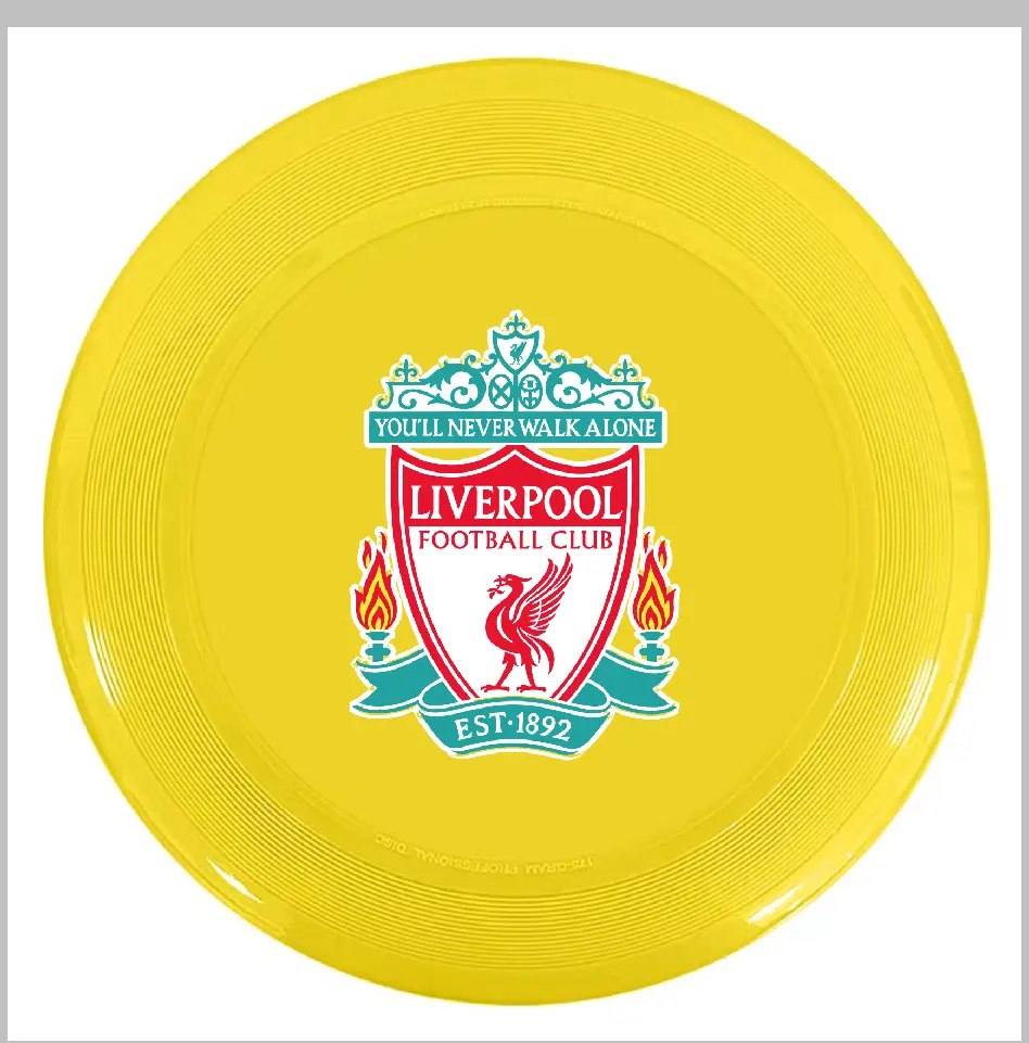Approved custom color pattern frisbeed golf discs set PE Soft Plastic promotional frisbeed Flying Disc