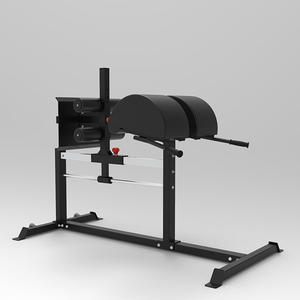 공장 직접 상업용 실내 피트니스 훈련 신체 건물 로마 의자 체육관 장비 - Product Image 2