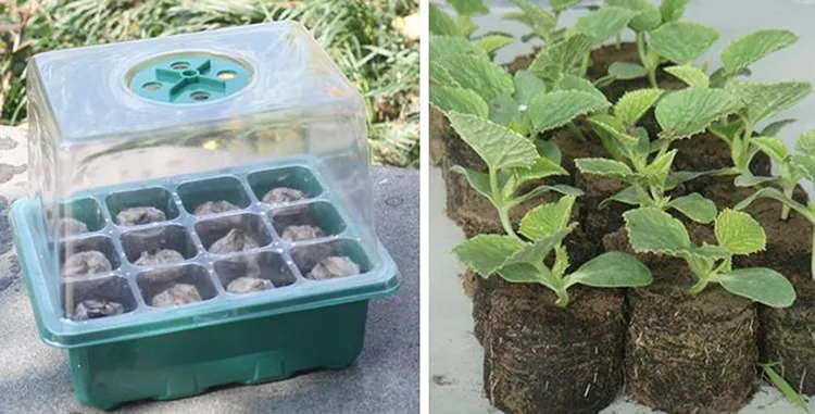 12 셀 재사용 플라스틱 식물 보육 씨앗 묘목 트레이 온실