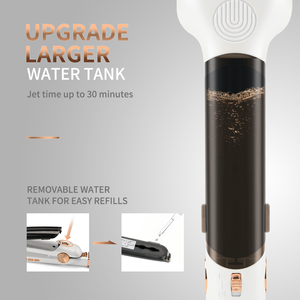 PRITECH Nhiệt Độ Điều Khiển Điện Áp Kép Bàn Ủi Phẳng Titan Chuyên Nghiệp Cho Salon Máy Duỗi Tóc Hồng Ngoại Dùng Cho Tóc - Product Image 3