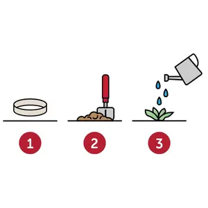 Braccialetti di carta con semi, gadget ecologici - Product Image 2