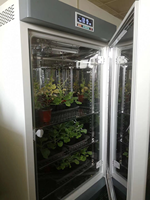 Liyi — chambre de culture de plantes artificiel, Machine de germicide, incubateur, boîte de culture, incubateur