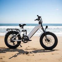 Vélo électrique tout-terrain à suspension haute performance OEM à cadre bas pour la vente
