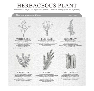 Bastoncini di <span class=keywords><strong>Palo</strong></span> <span class=keywords><strong>Santo</strong></span> Naturale Sostenibile Raccolto in Perù, Vendita all'Ingrosso Diretta dalla Fabbrica - Product Image 6