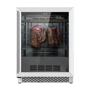 199L Steak Ager Commercial Steak Dry Aging Refrierator Meat Steak Cabinet