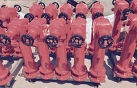TOWAY Extérieur, Buse d'entrée à bride de 4 pouces, Hydrant d'incendie extérieur en fonte ductile type pilier BS750, 2 voies, Pilier de 2,5 pouces