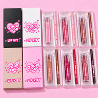 Ensemble de gloss à lèvres et crayon à lèvres OEM Mirror Gloss, rose, enrichi en vitamine E, waterproof, durable, vente en gros