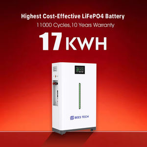 Batería de Litio Inteligente para Montacargas BEES TECH, Stock Europeo, 51.2V 17kwh 16kwh 15kwh 320Ah 48v 400ah Lifepo4 48v/100ah <span class=keywords><strong>Esm</strong></span>- - Product Image 1