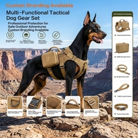 Ensemble de harnais tactique pour animaux de compagnie, sac de rangement, laisse élastique, collier anti-explosion, adapté à l'entraînement des chiens et aux promenades quotidiennes en plein air