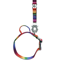 Collier pour chien Ombre coloré de luxe avec accessoires métalliques premium et poignées – Ensemble de colliers pour animaux de compagnie – Fournitures pour animaux