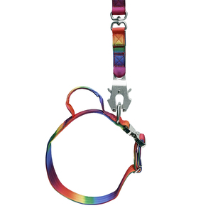 Colorful Ombre Dog <b>Collar</b> Deluxe Premium <b>Metal</b> Accessories With Grips Pet Dog <b>Collar</b> Set Pet Supplies - Product Image 5