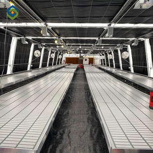 Efecto invernadero diseño para el cultivo de hongos - Product Image 5