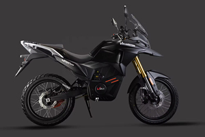 12kW 18kW Hochgeschwindigkeits-Elektromotor rad mit austauschbarer Batterie, EEC COC EU Dirtbike Cross bike für Erwachsene im Enduro Street Off Road - Product Image 4