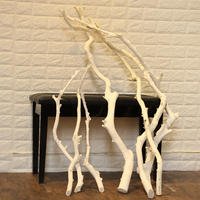 Tronc d'arbre blanc, branche orange, brindille sèche, fleur séchée pour décoration intérieure de fenêtre et accent de maison