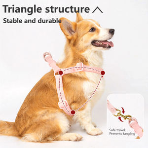 Sunraymascoca tali kustom silikon Harness anjing tahan air PVC karet Harness anjing Step in Dog Harness - Product Image 2