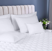 Protège-matelas épais matelassé Queen, housse de matelas silencieuse, convient jusqu'à 21 "de profondeur, blanc anti-poussière